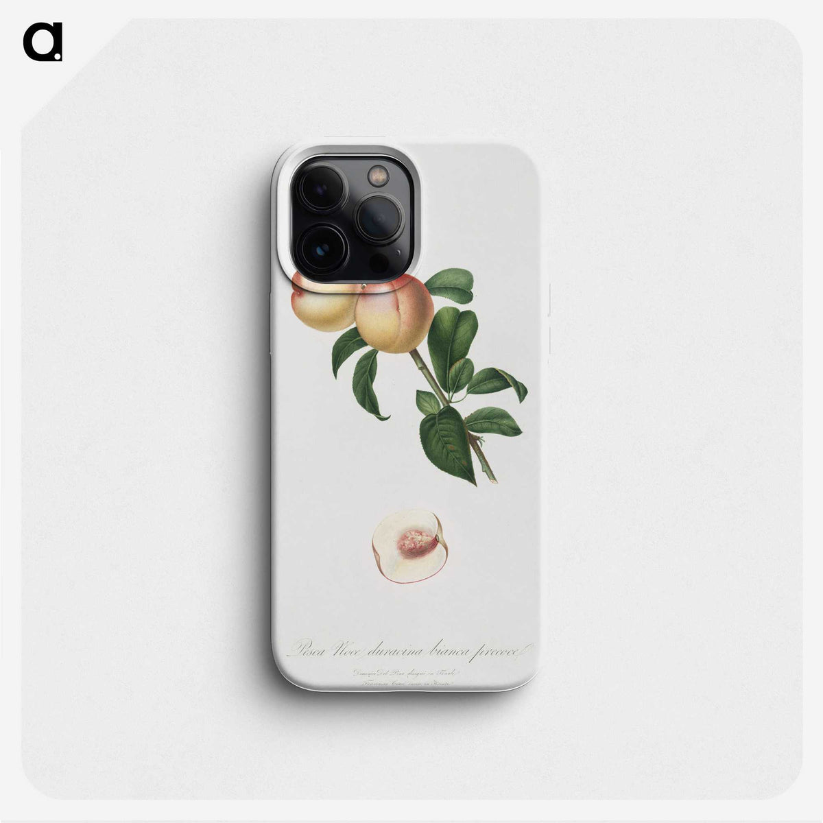 2-12_Pomona-Italiana_phone