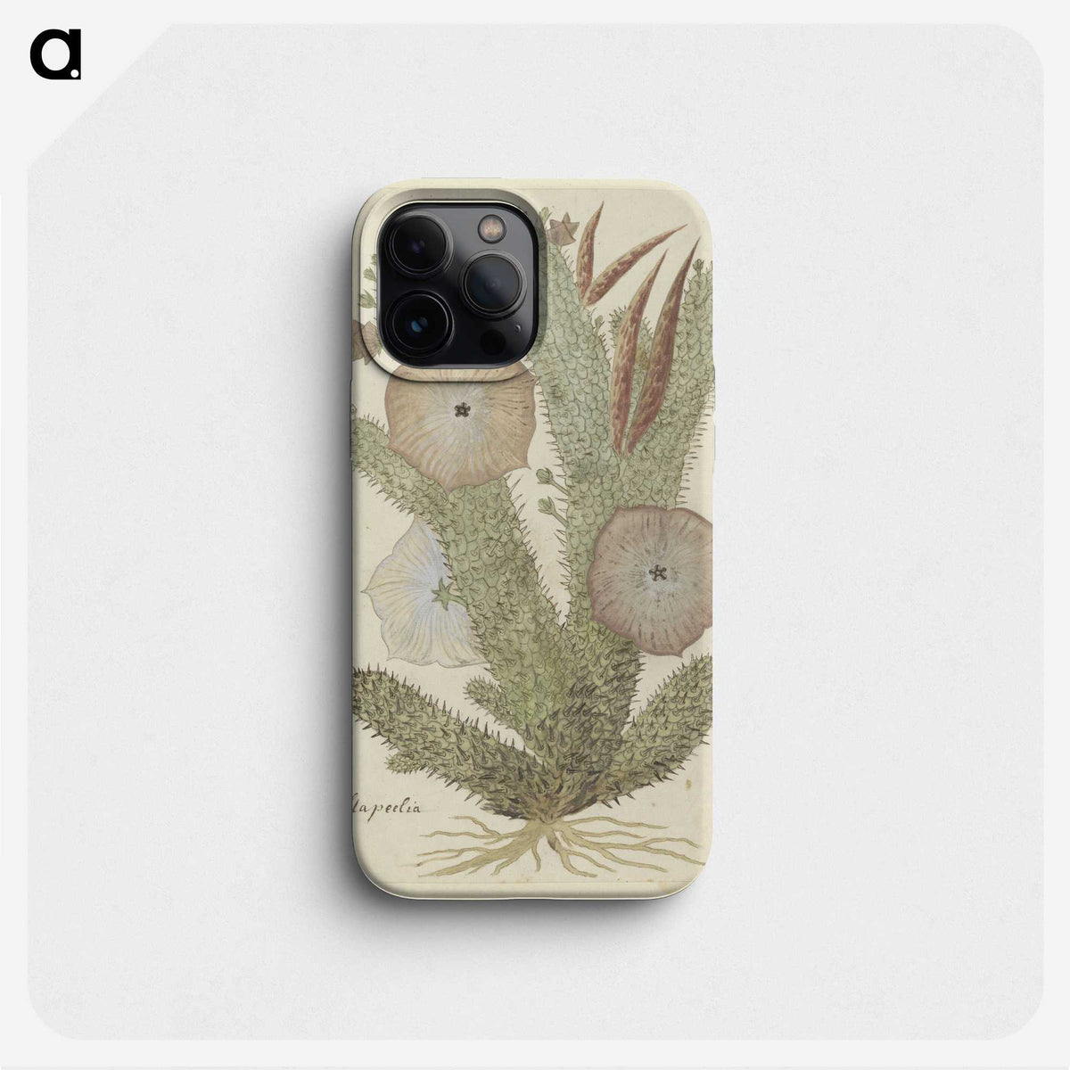 2-12_Robert-Jacob-Gordon_phone