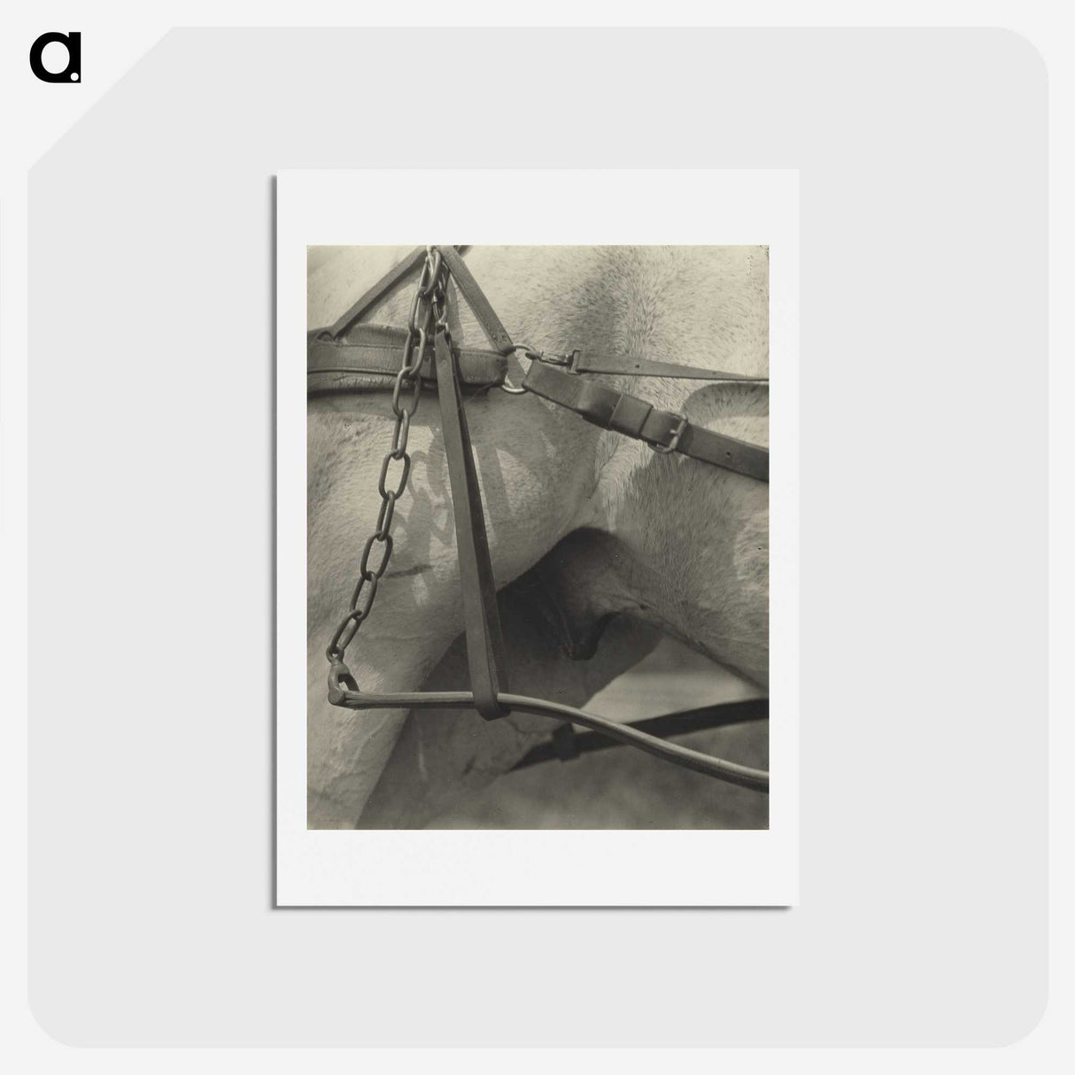 2-13_Alfred-Stieglitz_hagaki