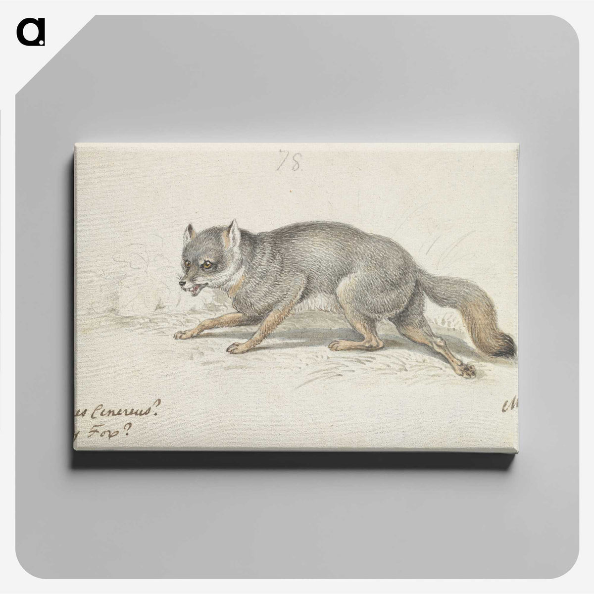 2-13_Charles-Hamilton-Smith_canvas