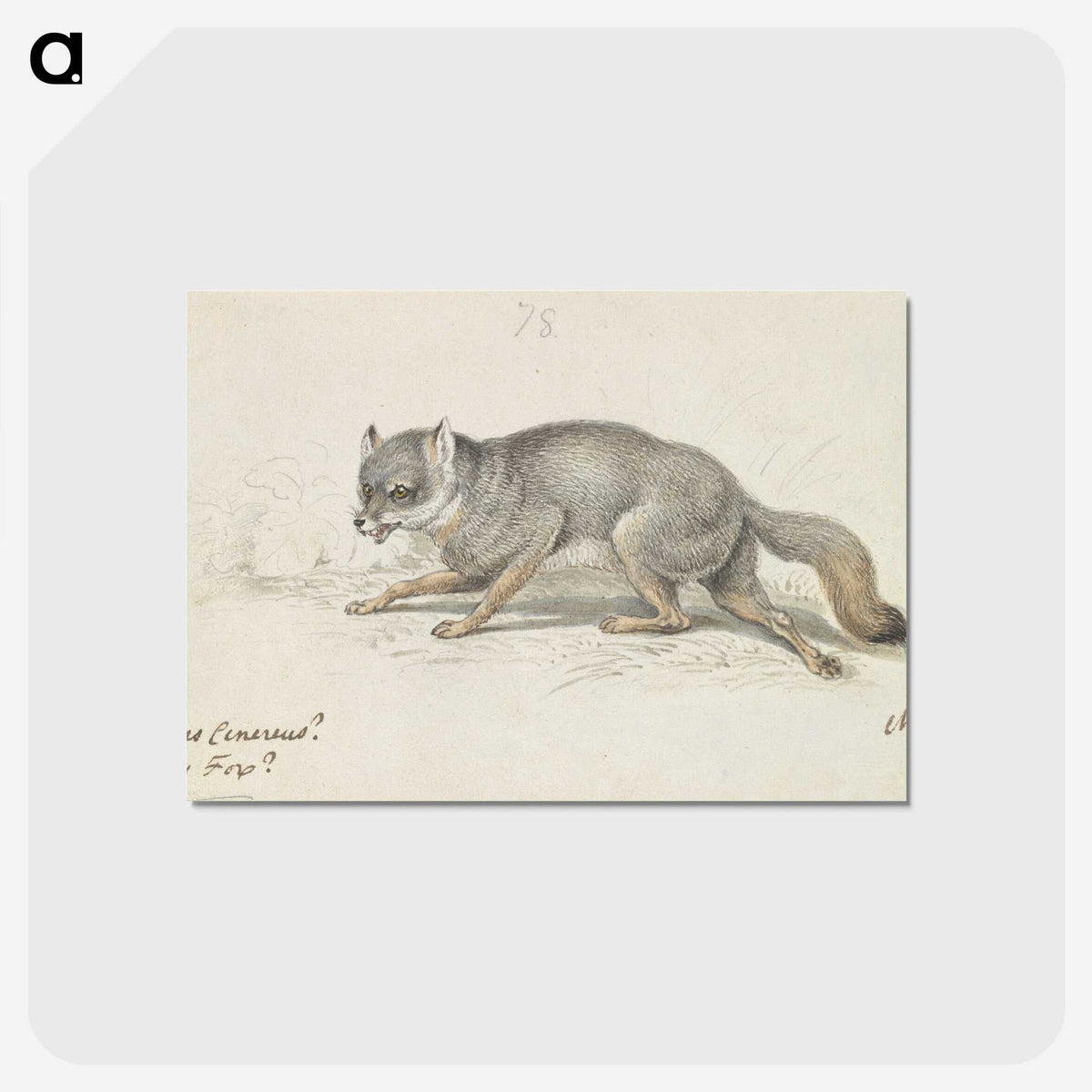 2-13_Charles-Hamilton-Smith_postcard