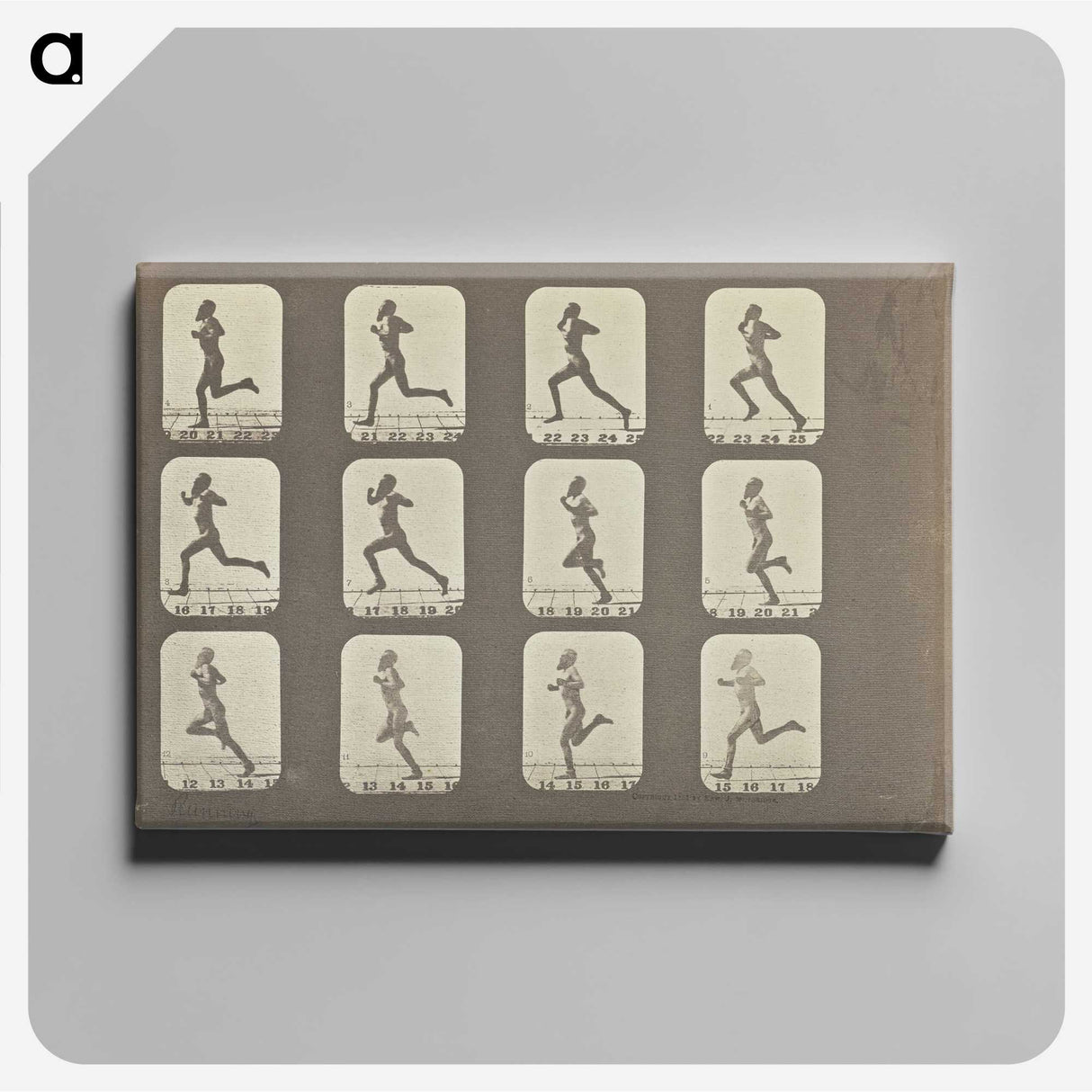 2-13_Eadweard-Muybridge_canvas
