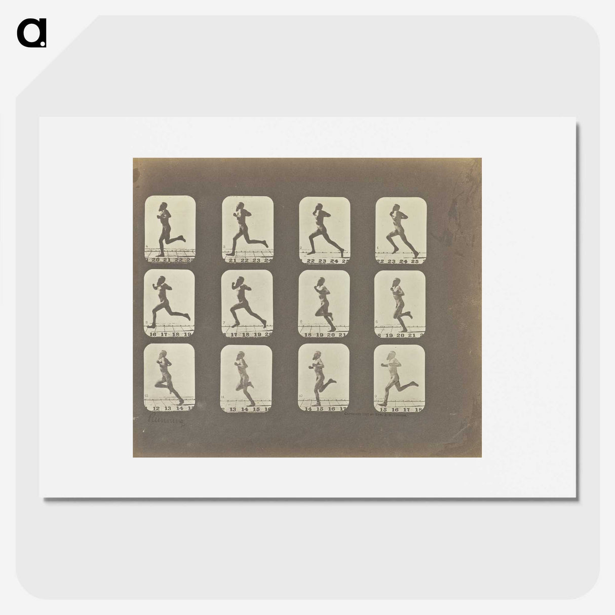 2-13_Eadweard-Muybridge_picture