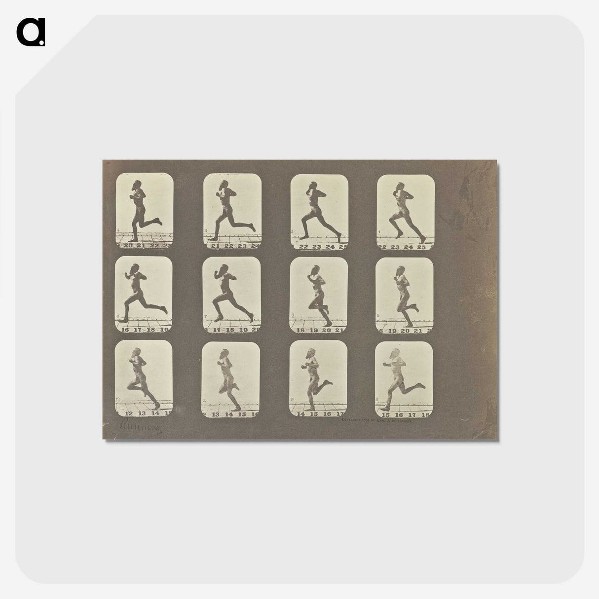 2-13_Eadweard-Muybridge_postcard
