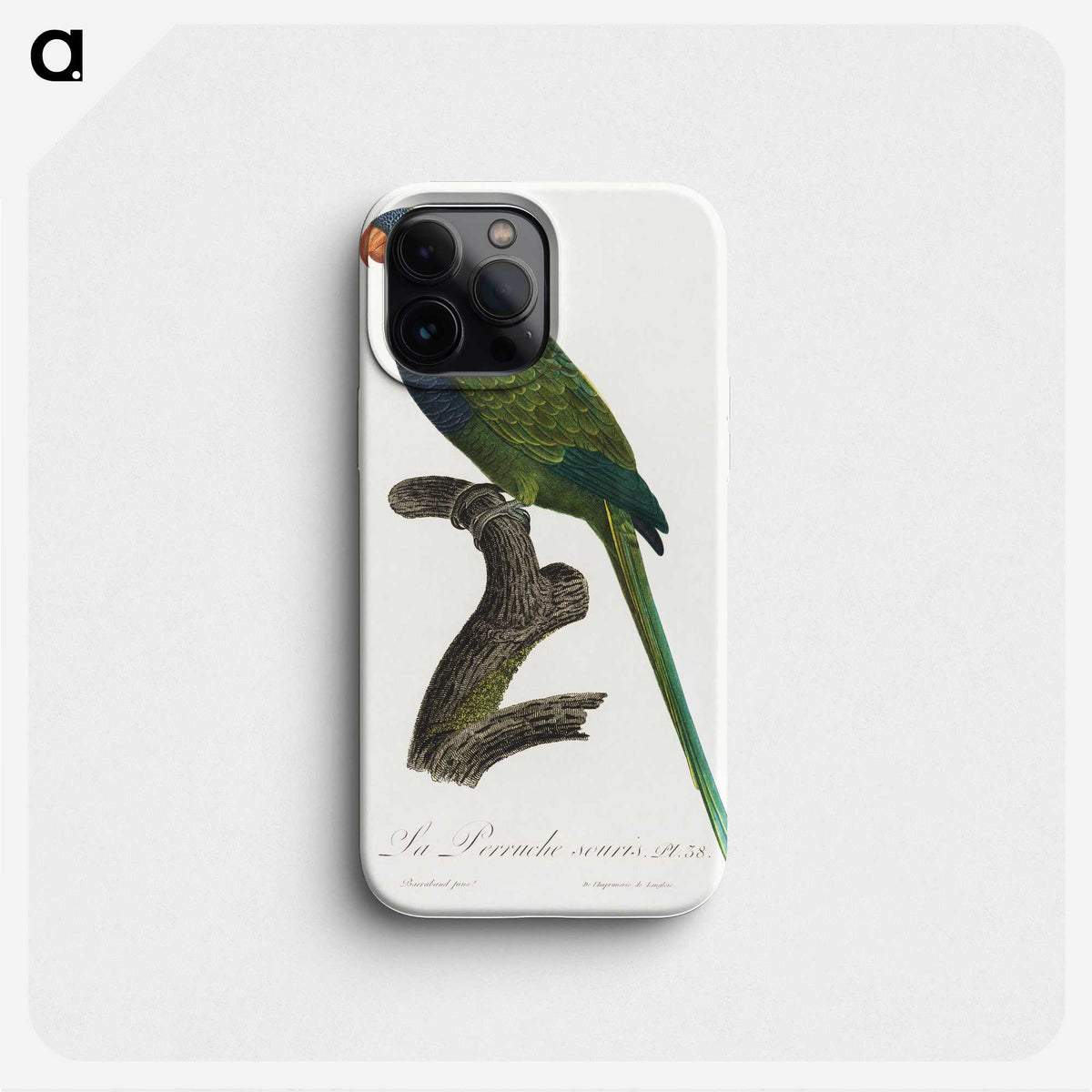 2-13_Francois-Levaillant_phone