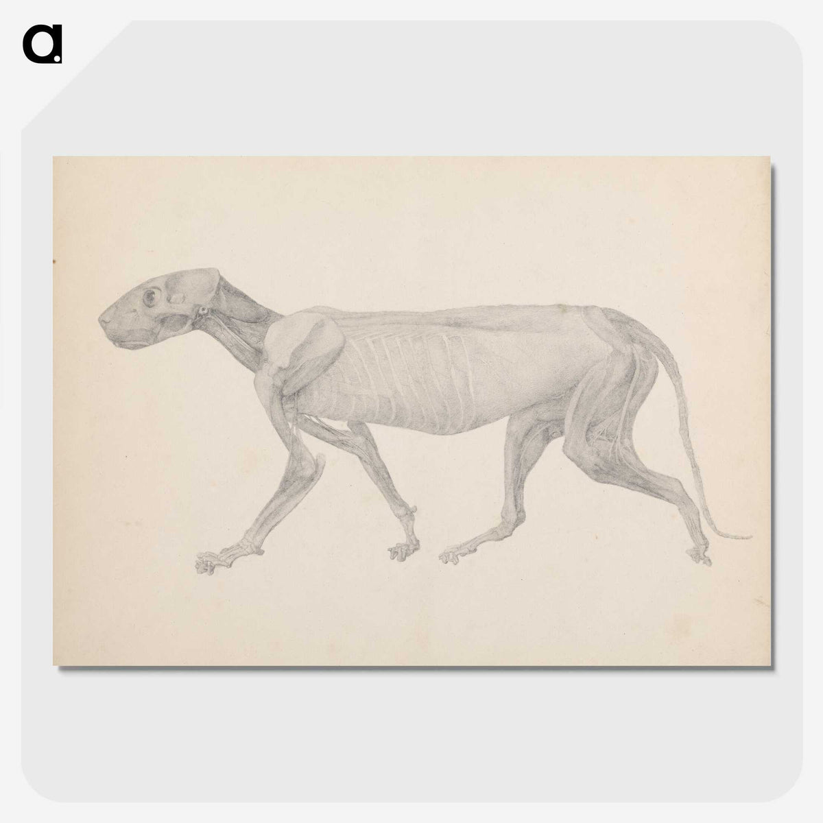 2-13_George-Stubbs_picture-crop