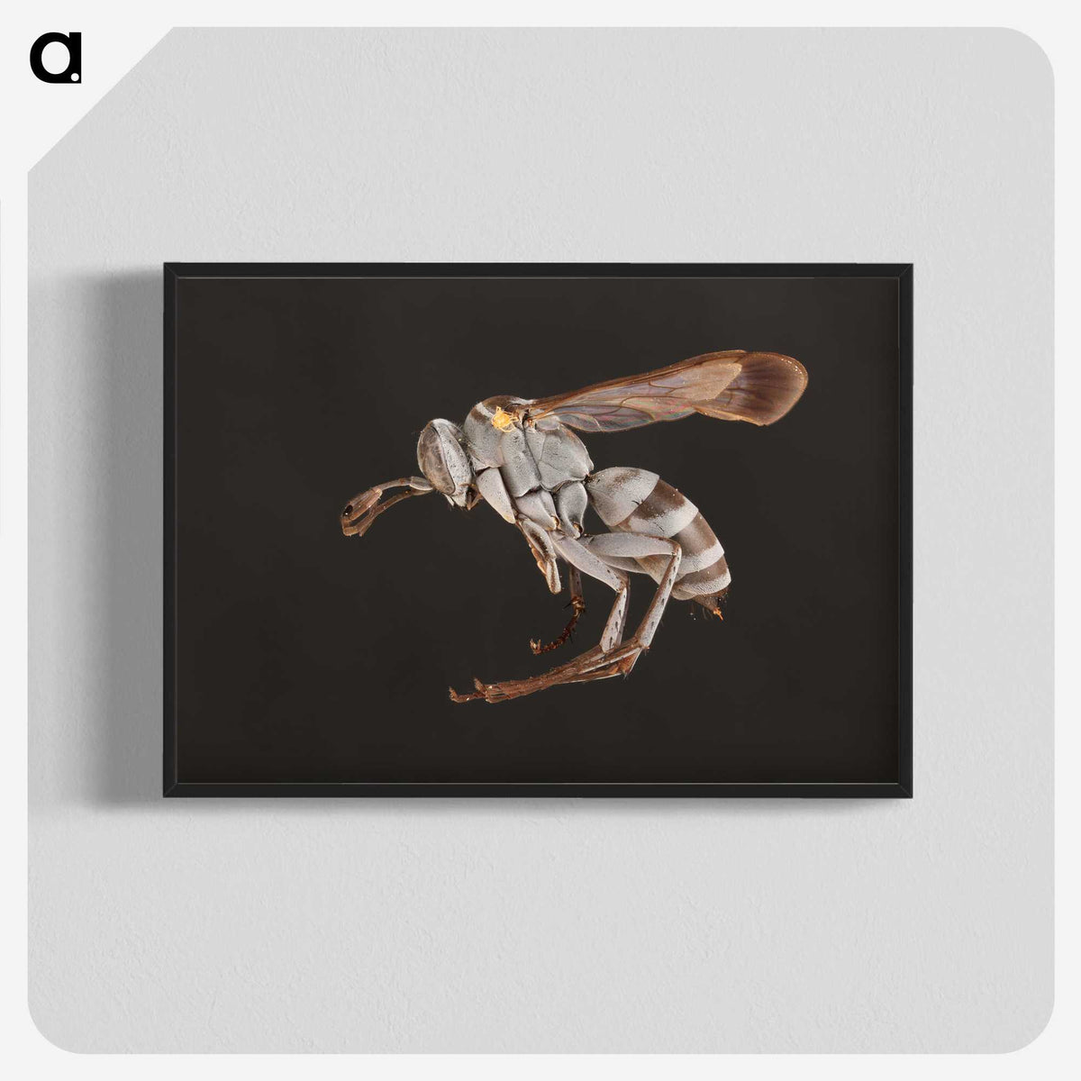 2-13_Insects-Unlocked-Project_blk-crop