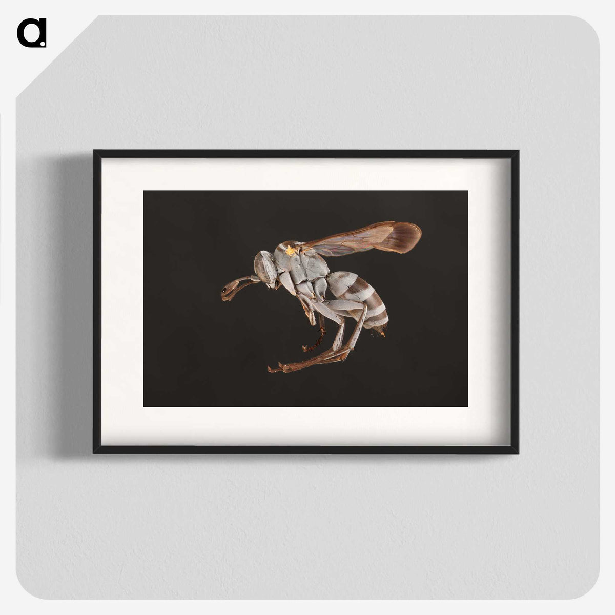 2-13_Insects-Unlocked-Project_blk