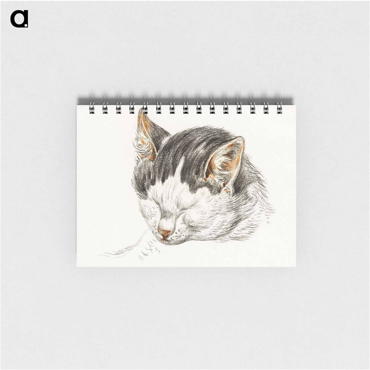 Sketch of a cat - ジャン ベルナール Memo.