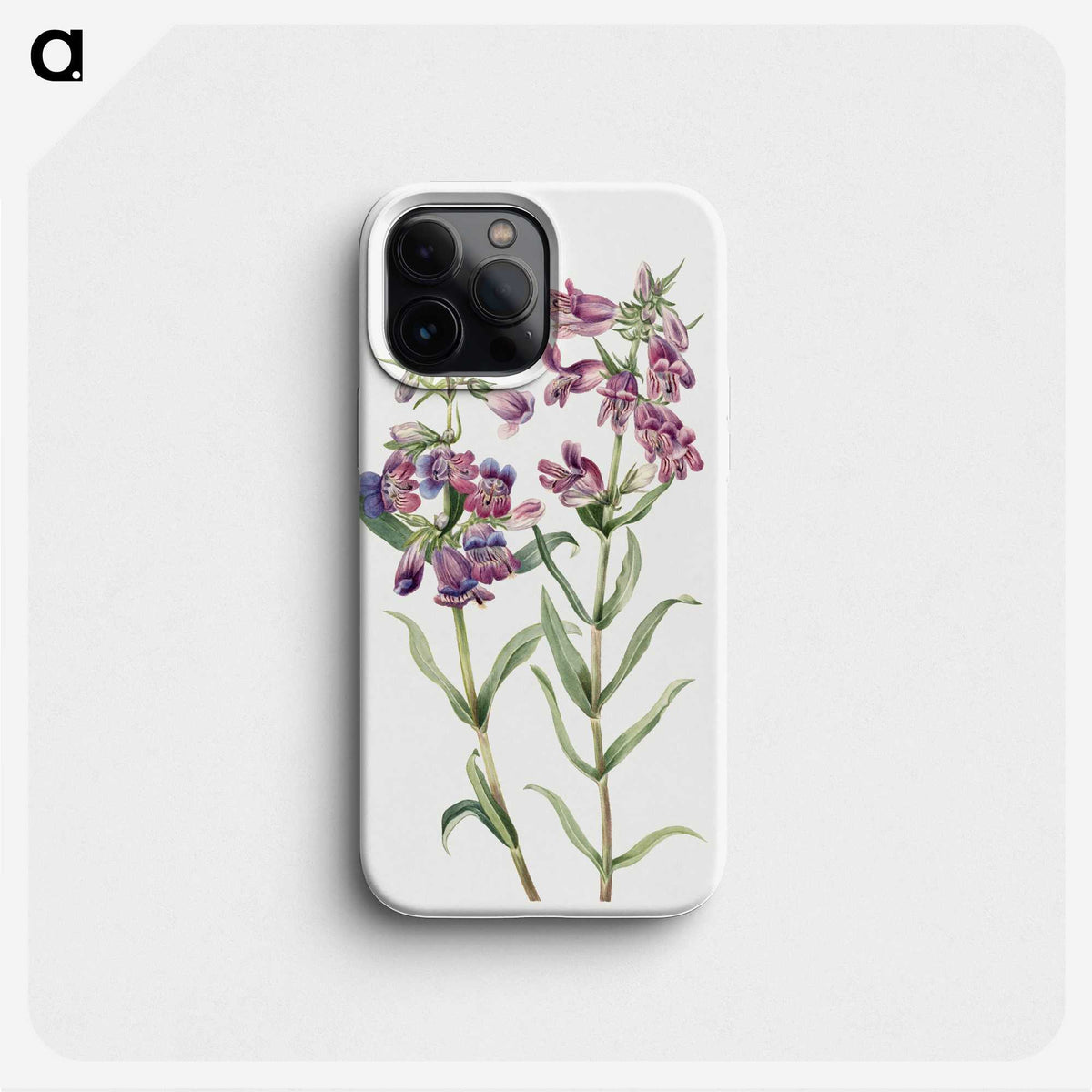 2-13_Mary-Vaux-Walcott_phone