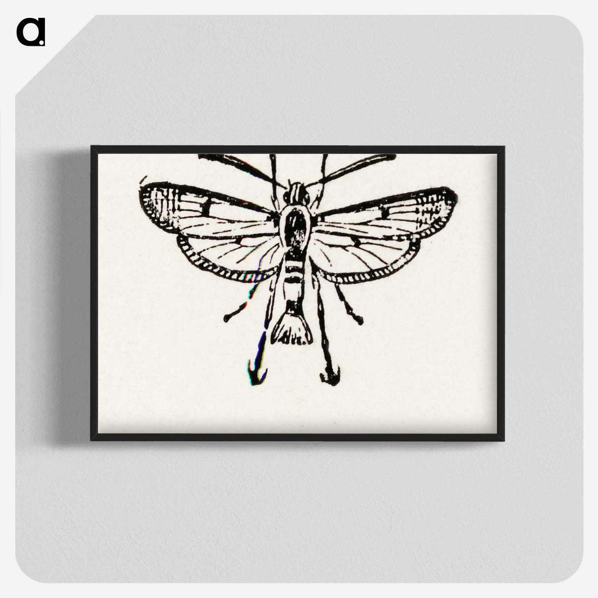 2-13_Moths-and-Butterflies-of-the-United-States_blk-crop