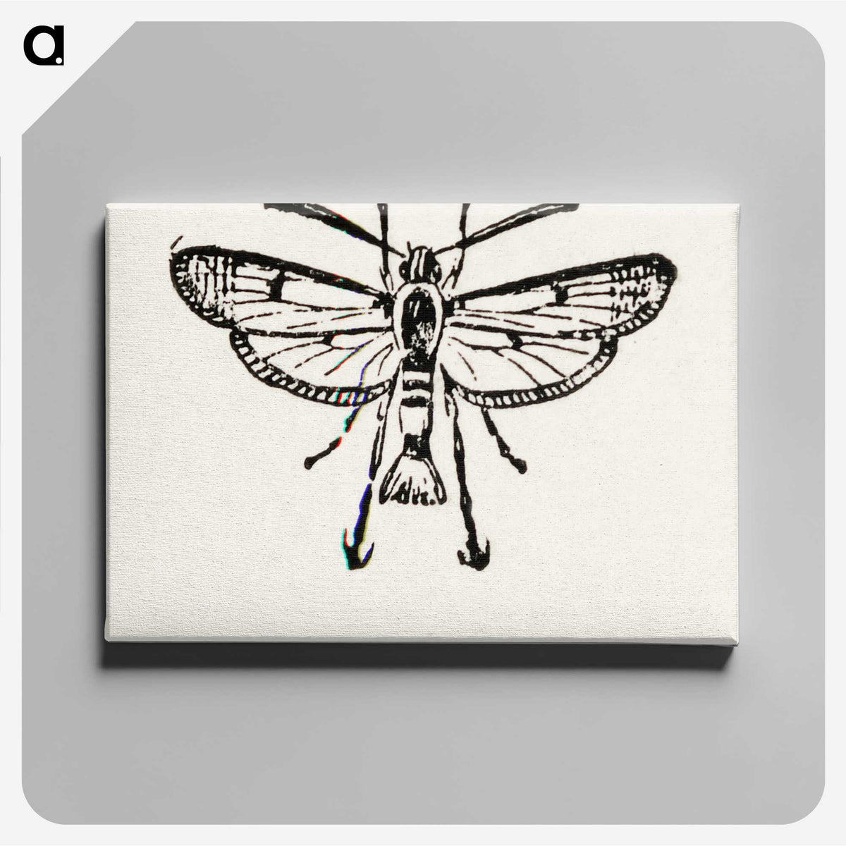 2-13_Moths-and-Butterflies-of-the-United-States_canvas