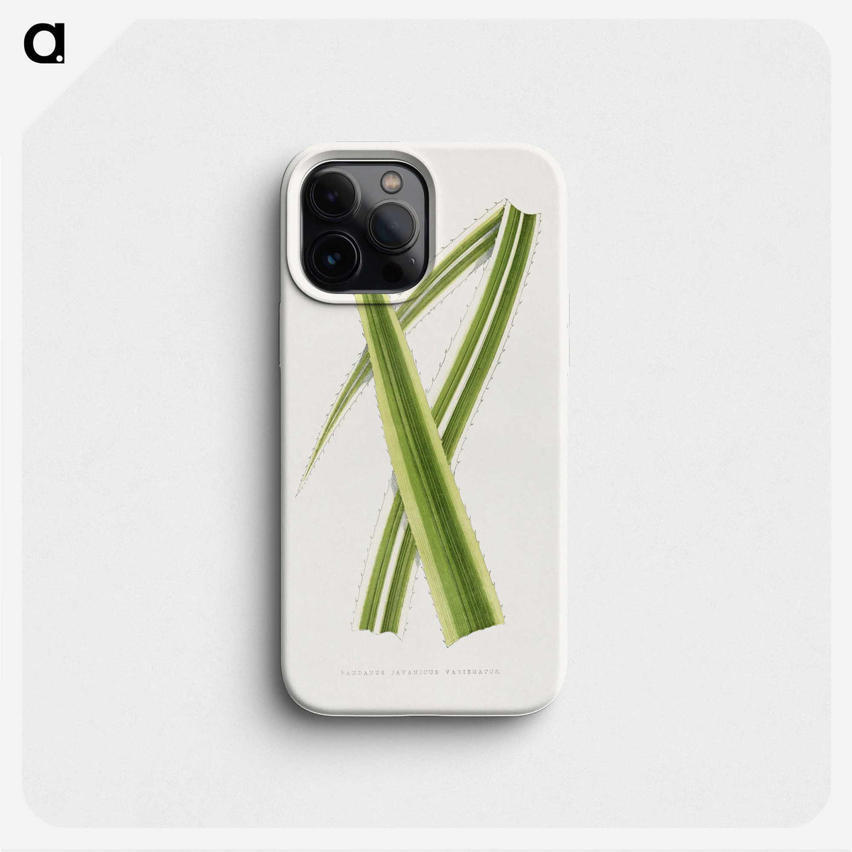 2-13_Plants-with-Colored-Foliage_phone