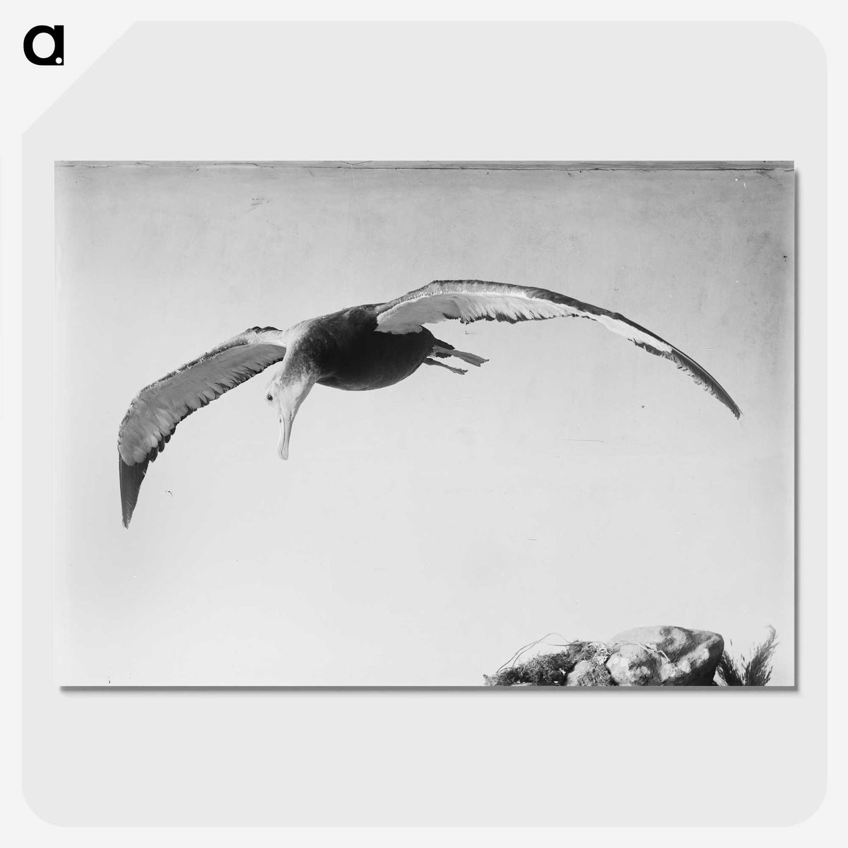 2-13_The-Burton-Brothers_picture-crop