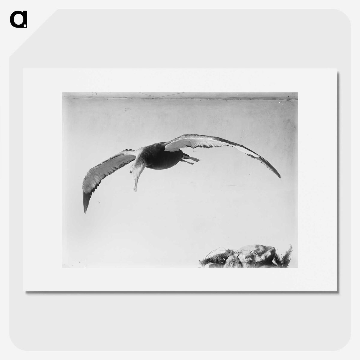 2-13_The-Burton-Brothers_picture
