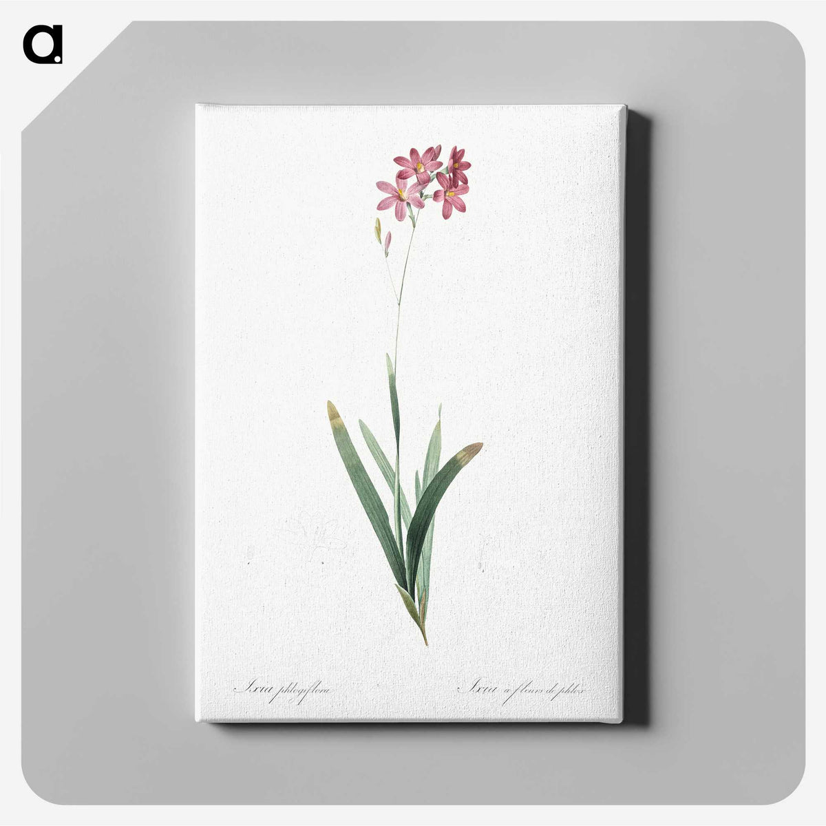 2-13_The-Lilies_canvas