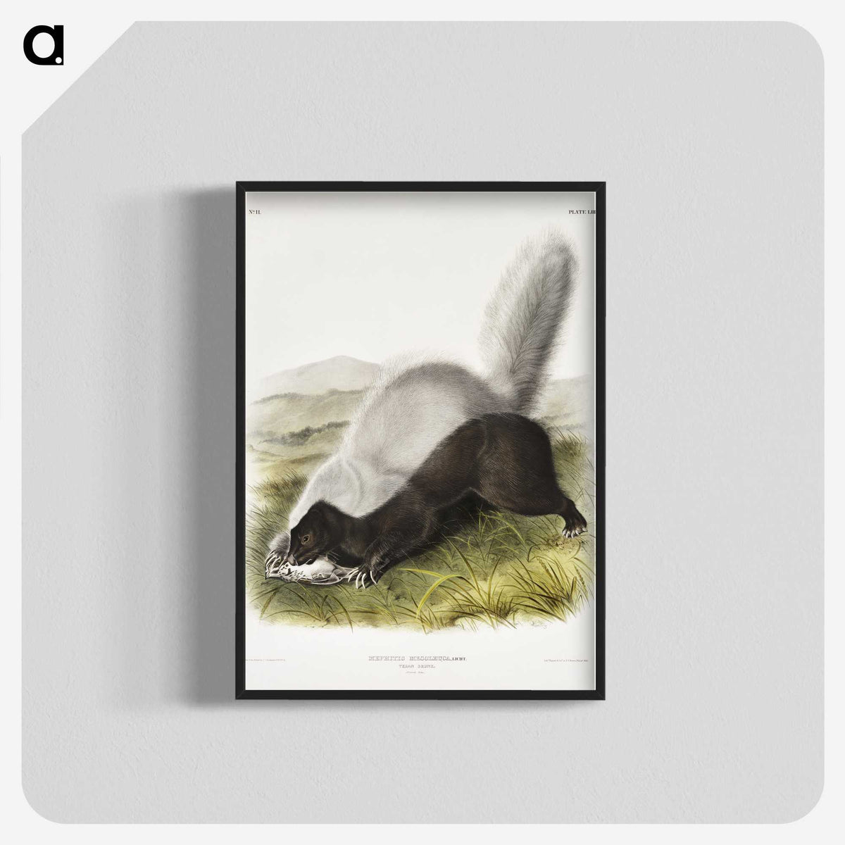 2-13_The-Viviparous-Quadrupeds_blk-crop