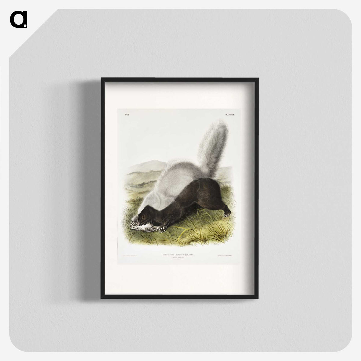 2-13_The-Viviparous-Quadrupeds_blk