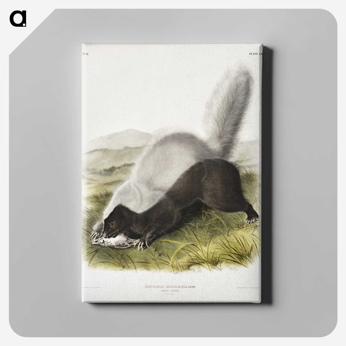 2-13_The-Viviparous-Quadrupeds_canvas
