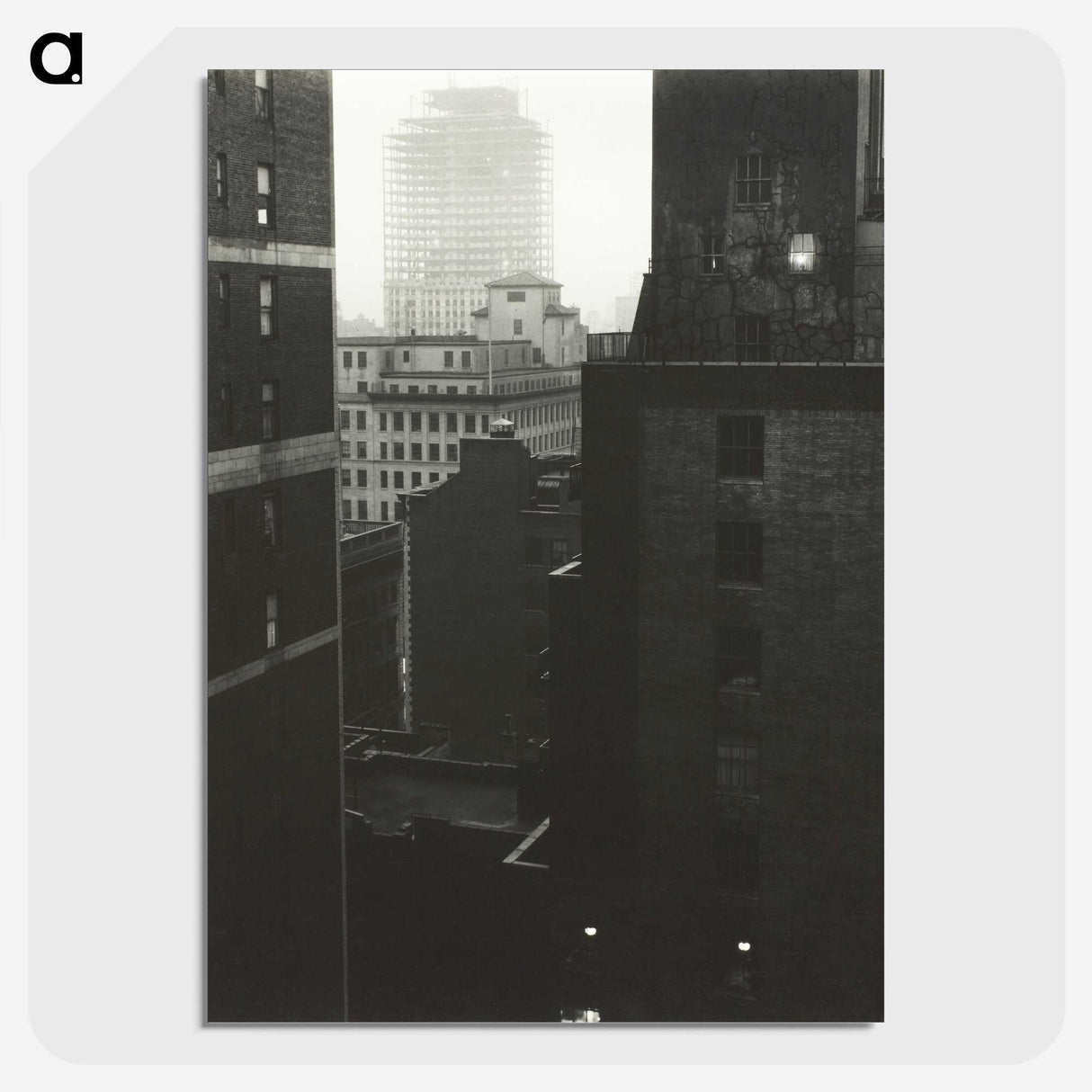 2-14_Alfred-Stieglitz_picture-crop