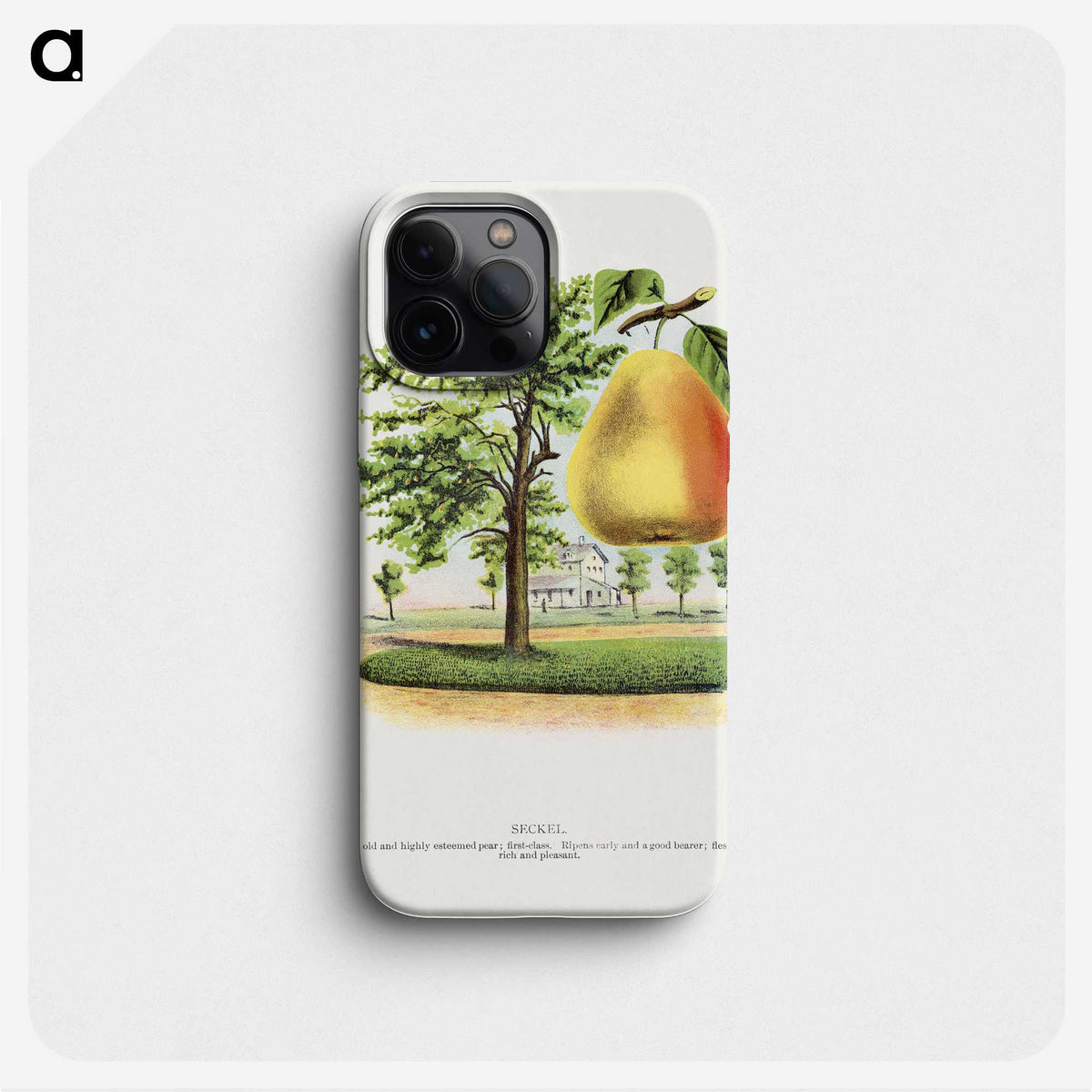 2-14_Botanical-Specimen-Plates_phone