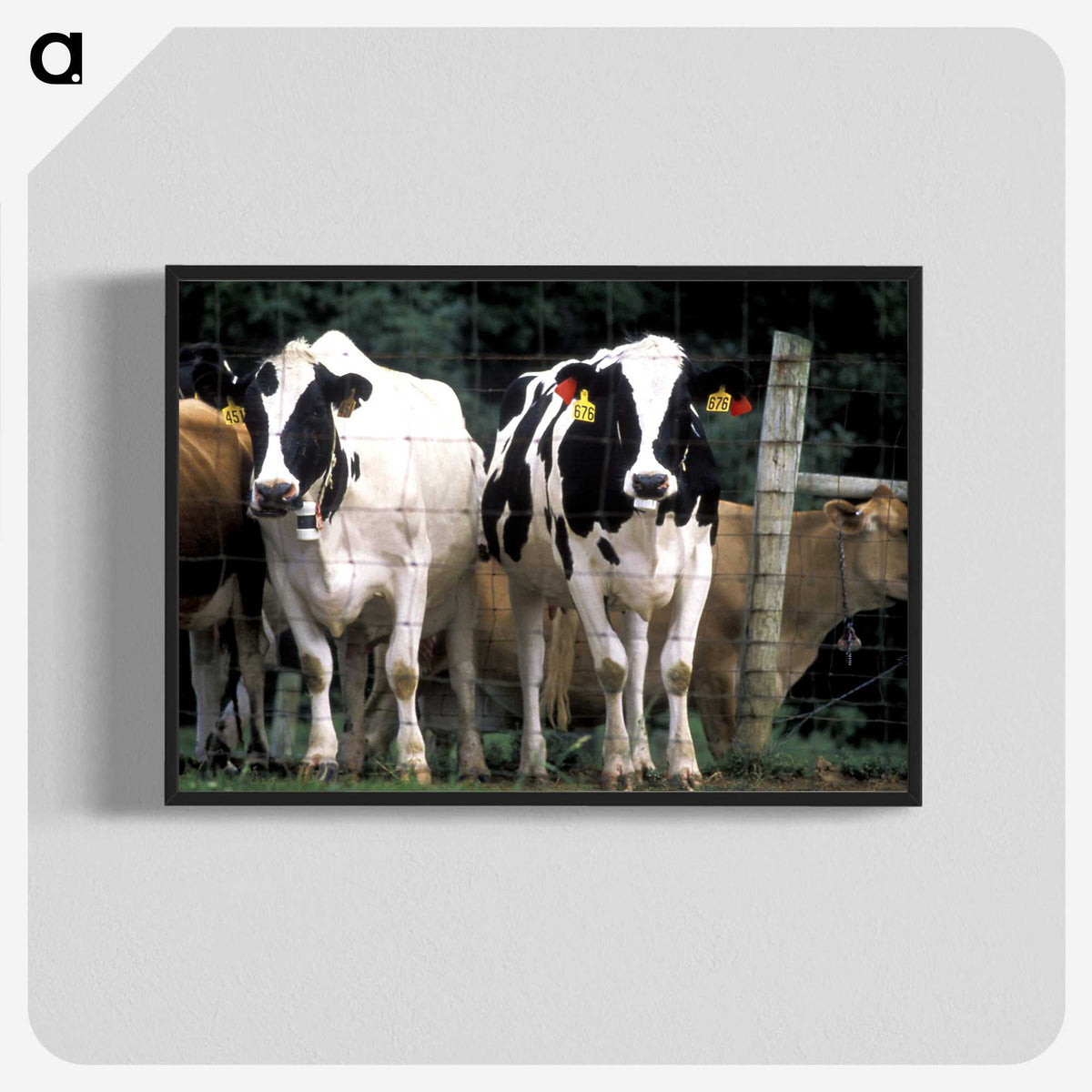 2-14_COVID-19_blk-crop