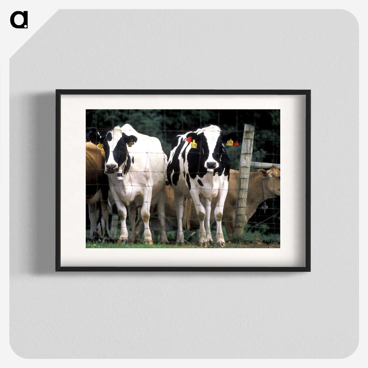 2-14_COVID-19_blk