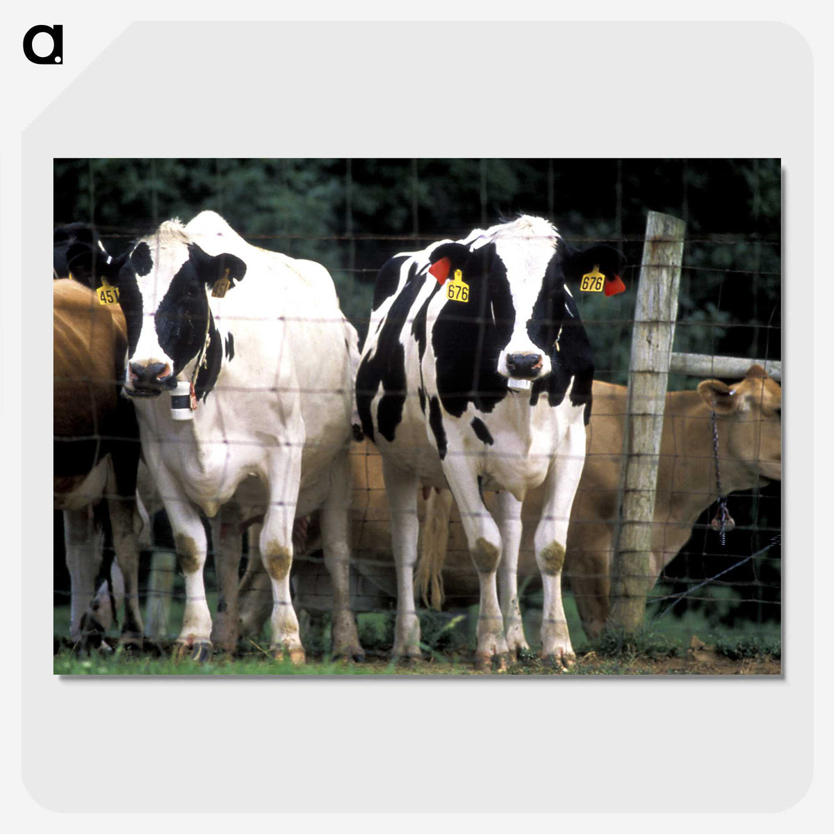 2-14_COVID-19_picture-crop