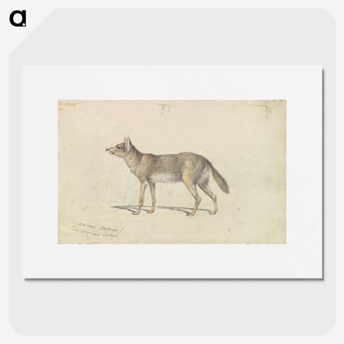 2-14_Charles-Hamilton-Smith_picture