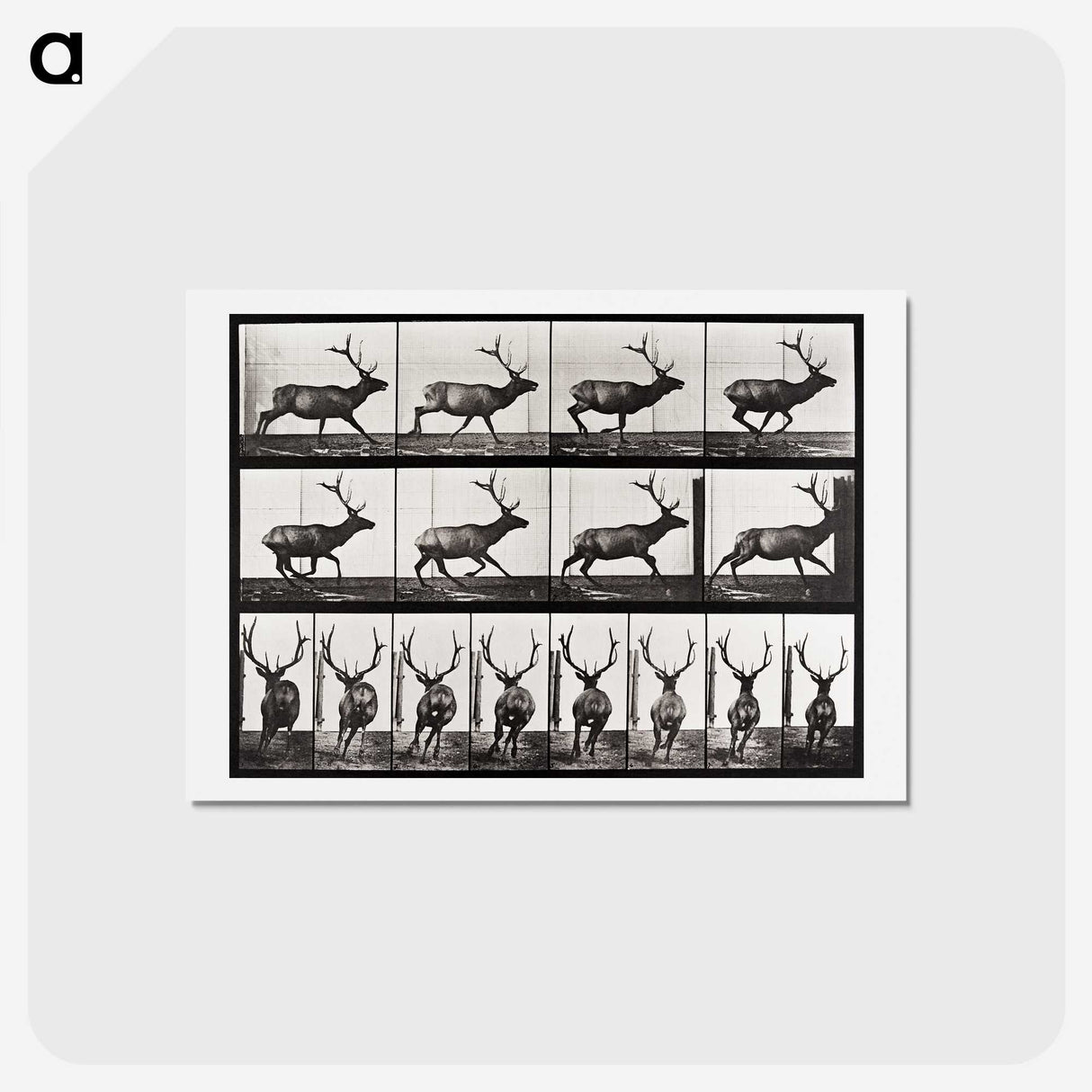 2-14_Eadweard-Muybridge_hagaki