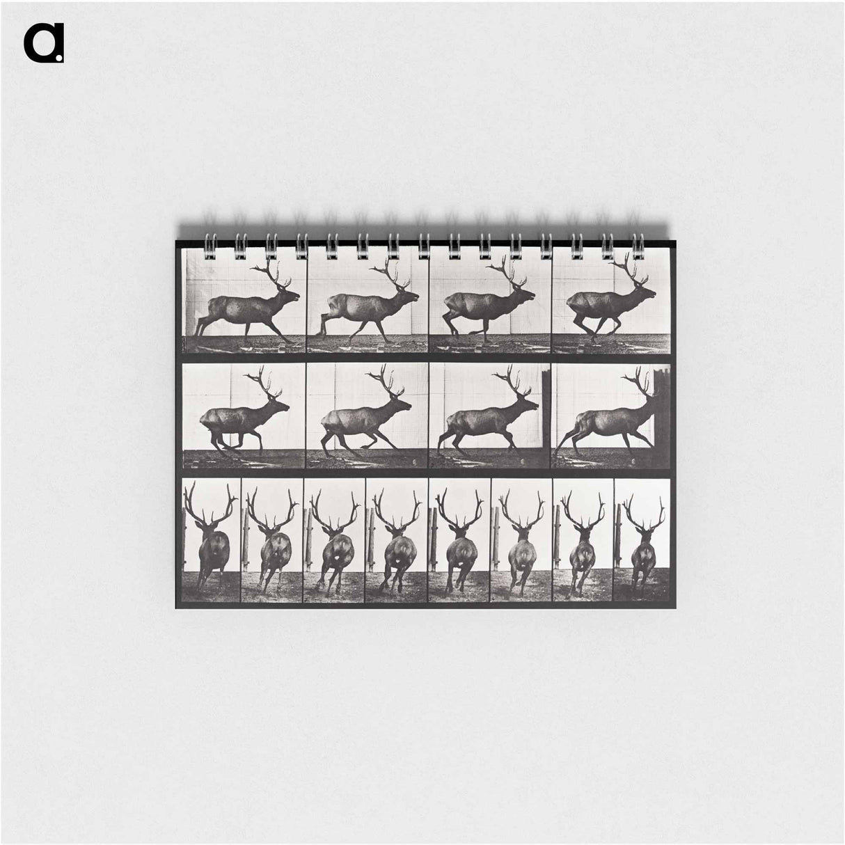 アートメモ帳-Animal Locomotion
- エドワード マイブリッジ Memo.
