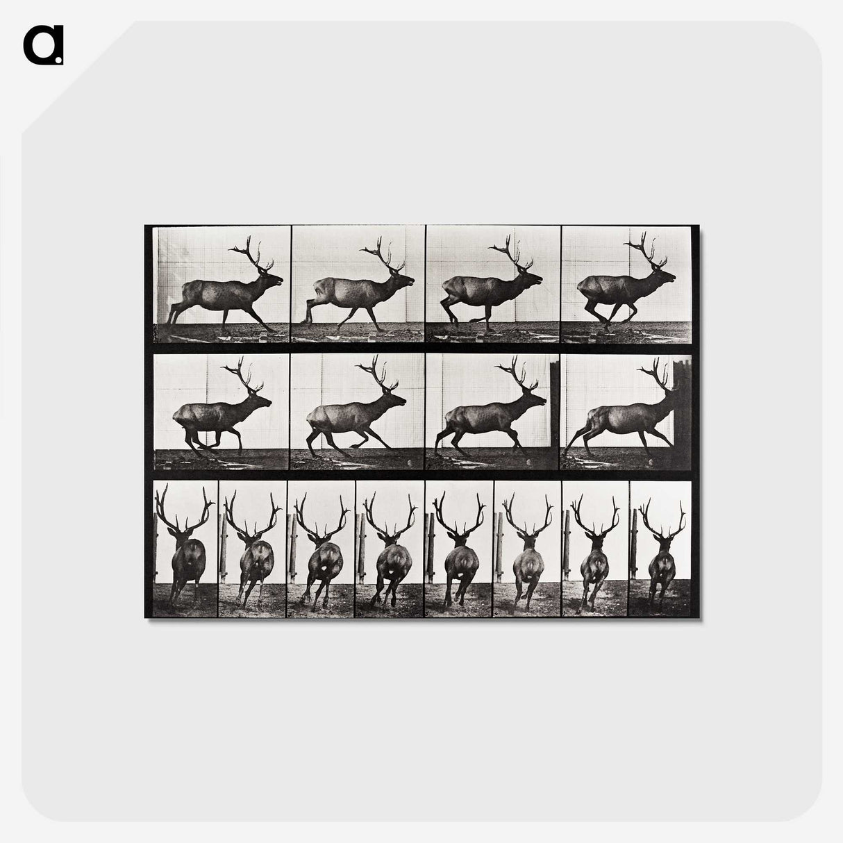 2-14_Eadweard-Muybridge_postcard