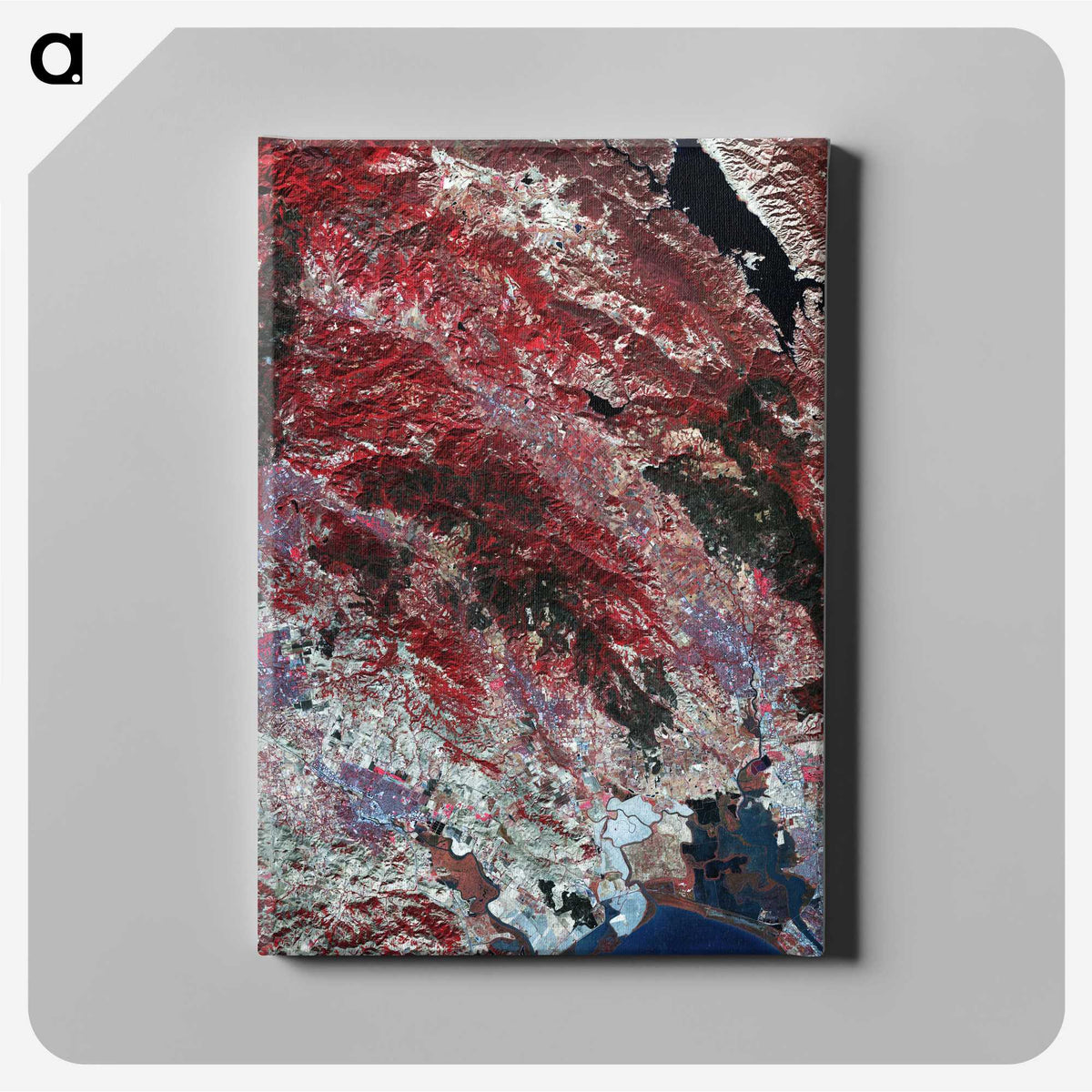 2-14_Earth-from-Above_canvas