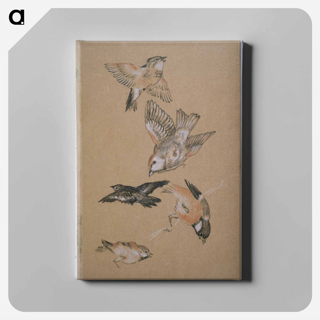 Love leading the Pilgrim - Study of Birds: Finches - エドワード バーン ジョーンズ Canvas.