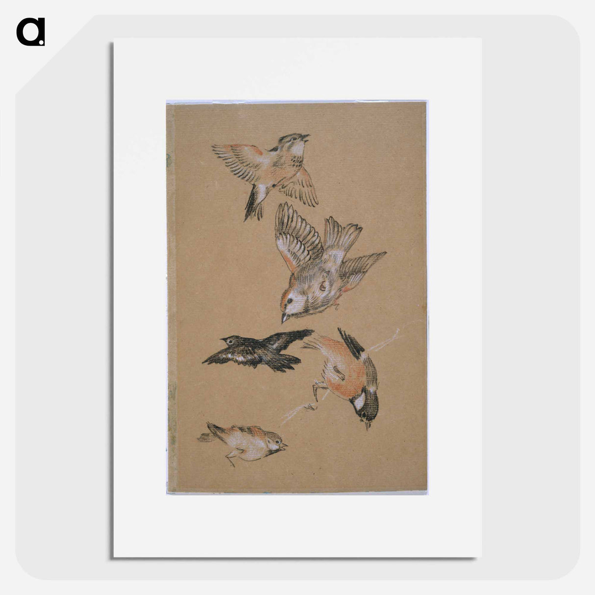 Love leading the Pilgrim - Study of Birds: Finches - エドワード バーン ジョーンズ Poster.