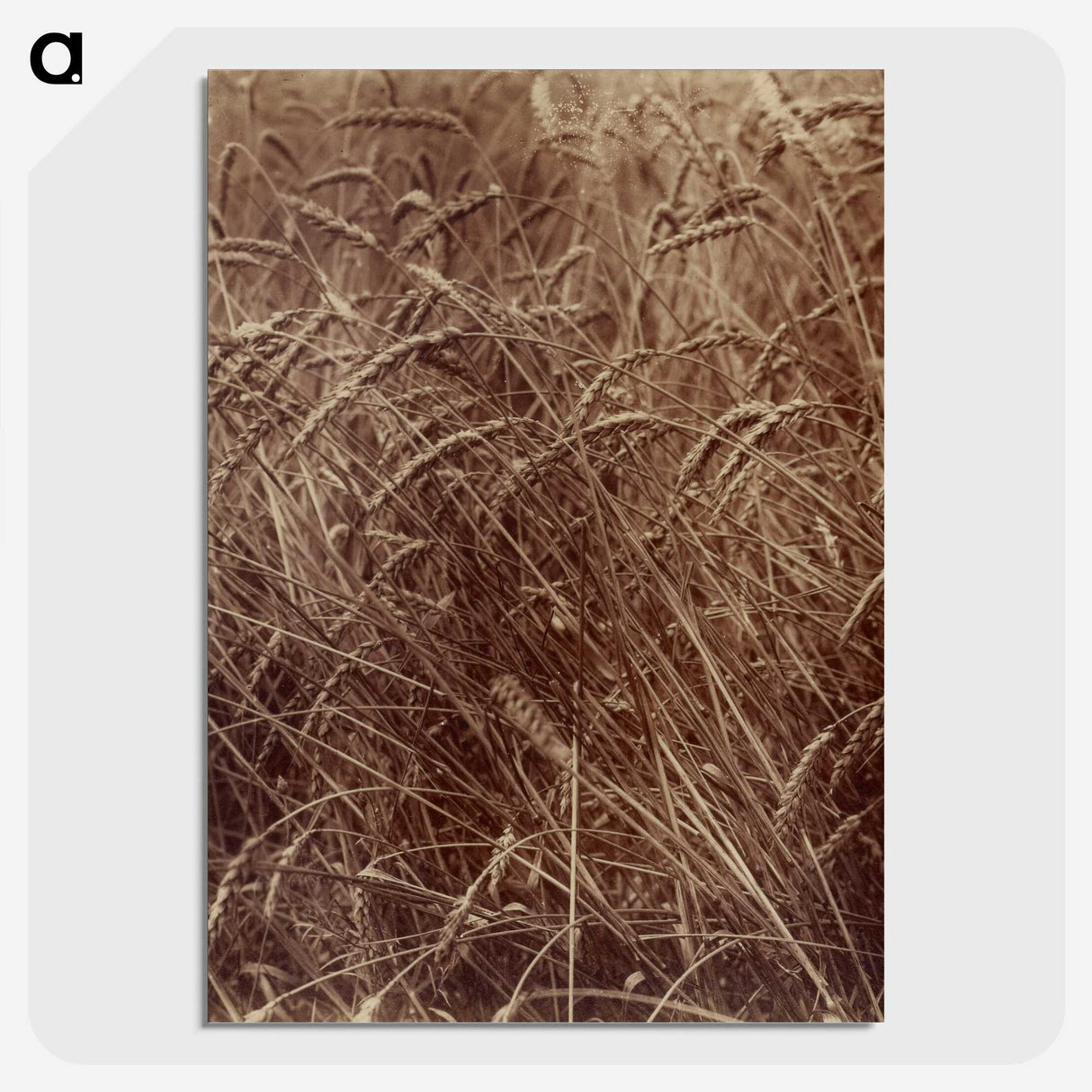 2-14_Eugene-Atget_picture-crop