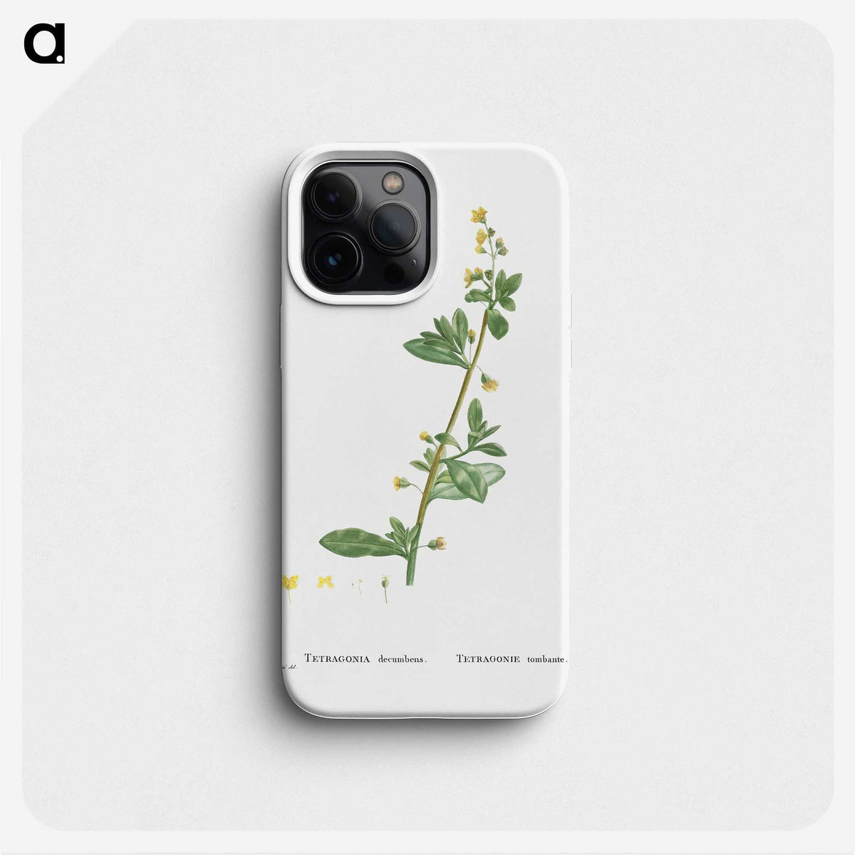 2-14_Histoire-des-Plantes-Grasses_phone