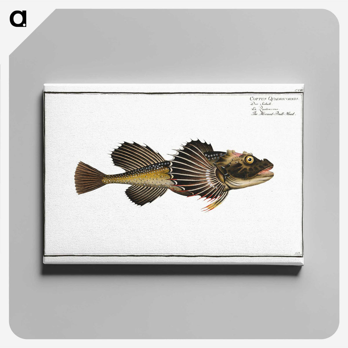 2-14_Ichtyologie-ou-Histoire-naturelle_canvas