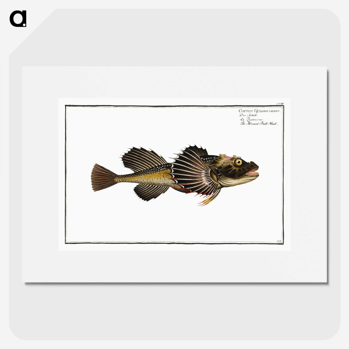2-14_Ichtyologie-ou-Histoire-naturelle_picture