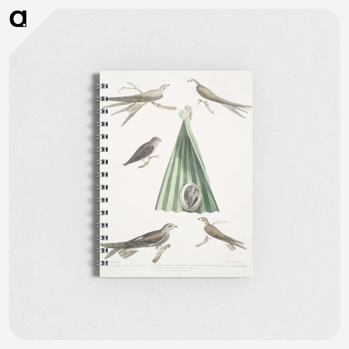 2-14_Indian-Zoology_memo