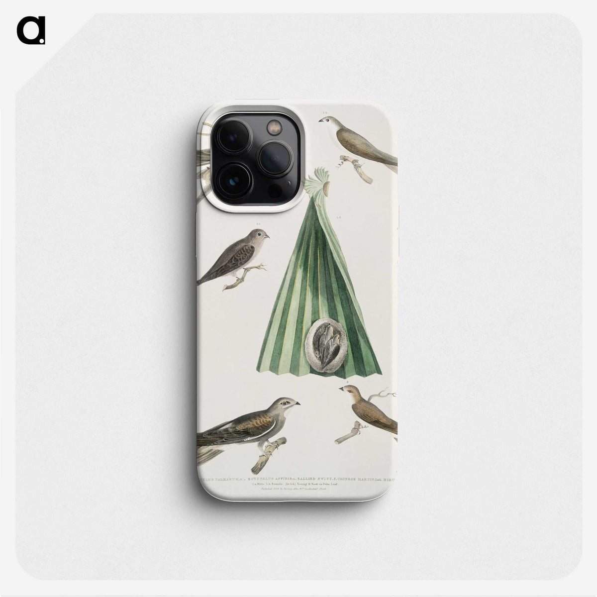 2-14_Indian-Zoology_phone