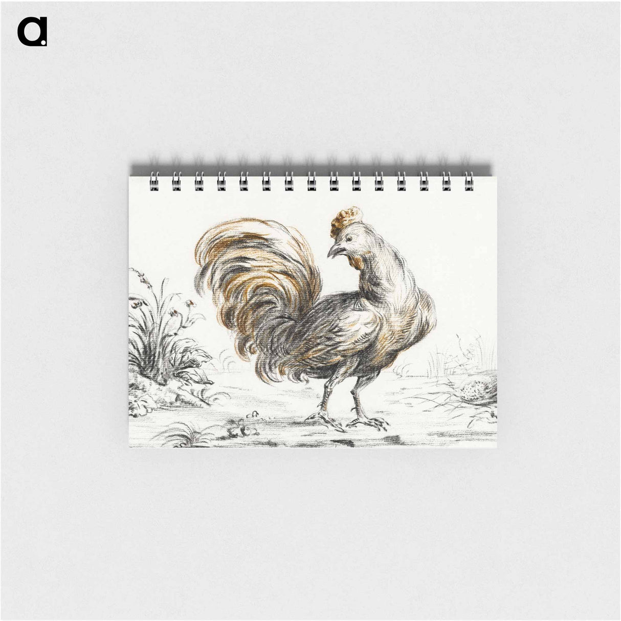 Rooster - ジャン ベルナール Memo.