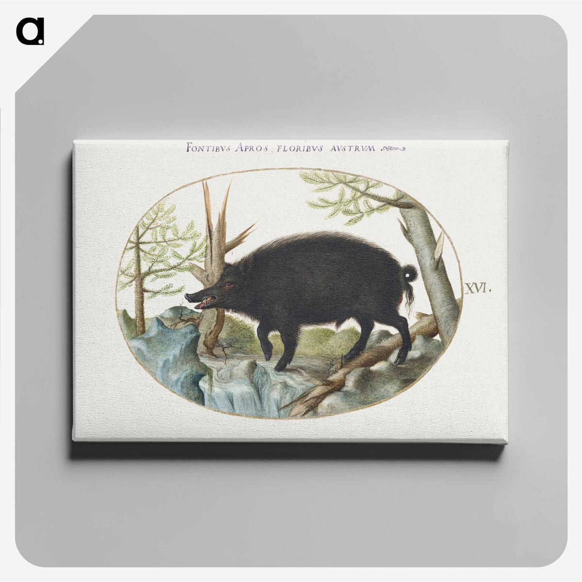 2-14_Joris-Hoefnagel_canvas