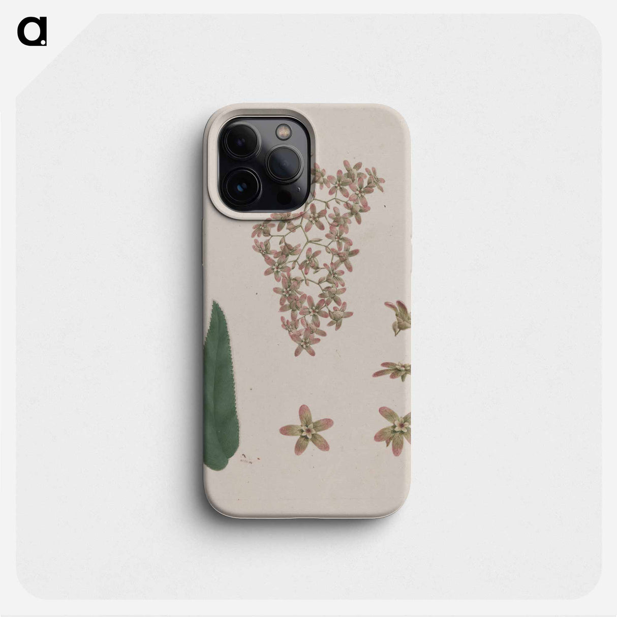Hagenia abyssinica
- ルイージ バルガーニ Phone Case.