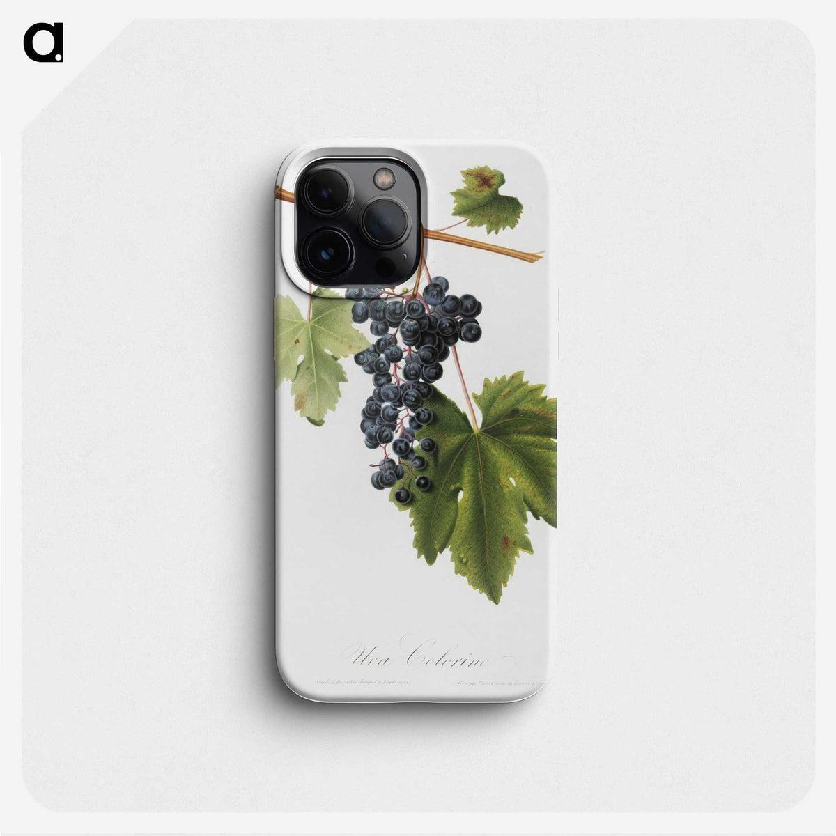 2-14_Pomona-Italiana_phone