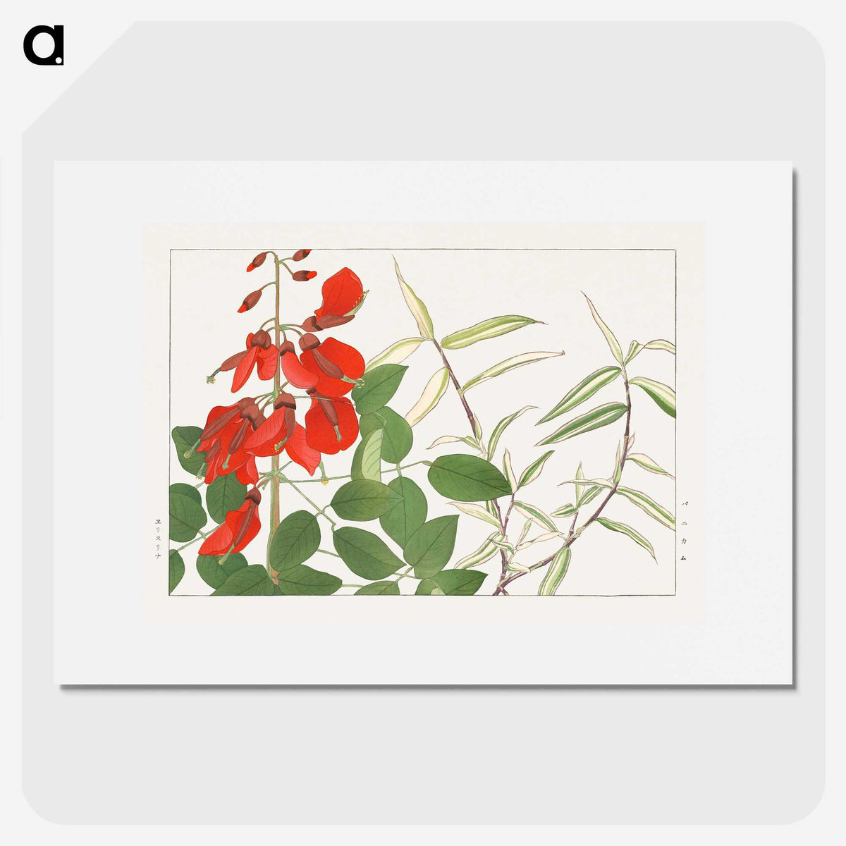 2-14_Seiyo-Soka-Zufu_picture