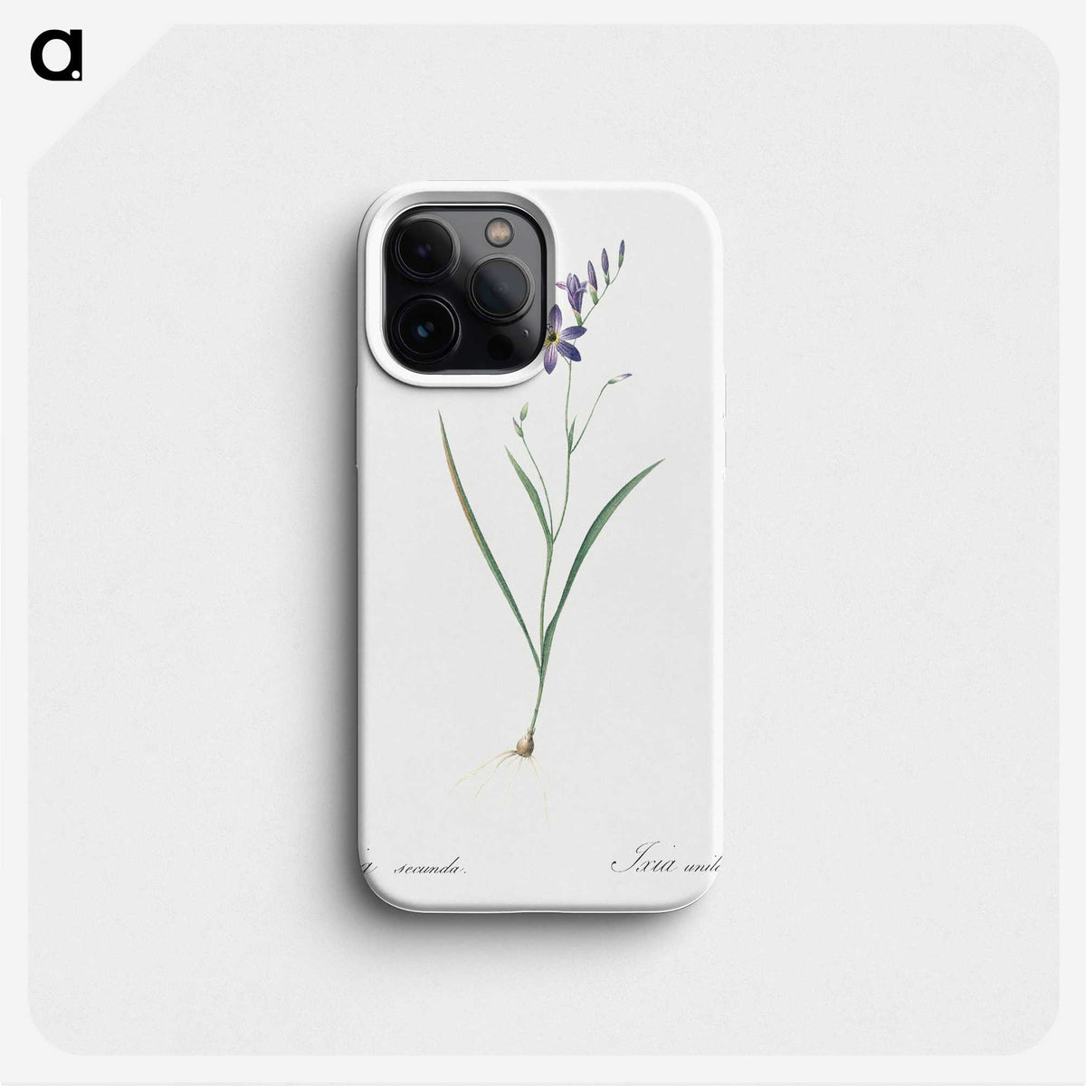 2-14_The-Lilies_phone