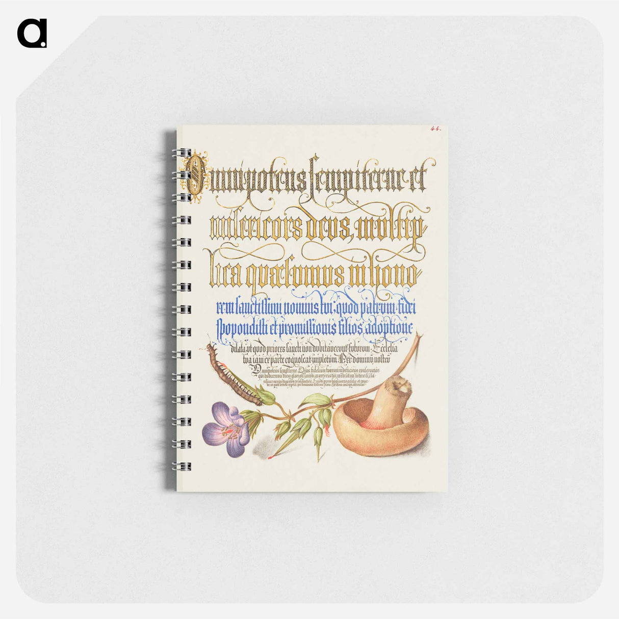 アートメモ帳-Centipede, Wood Cranesbill, and Mushroom from Mira Calligraphiae Monumenta
- 書道のお手本 Memo.