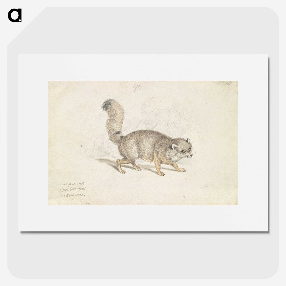2-15_Charles-Hamilton-Smith_picture