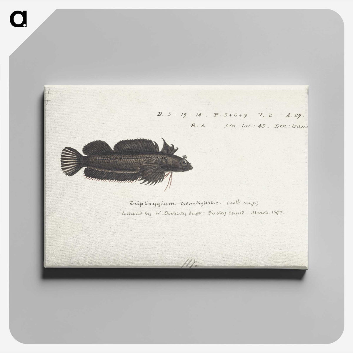 2-15_Frank-Edward-Clarke_canvas